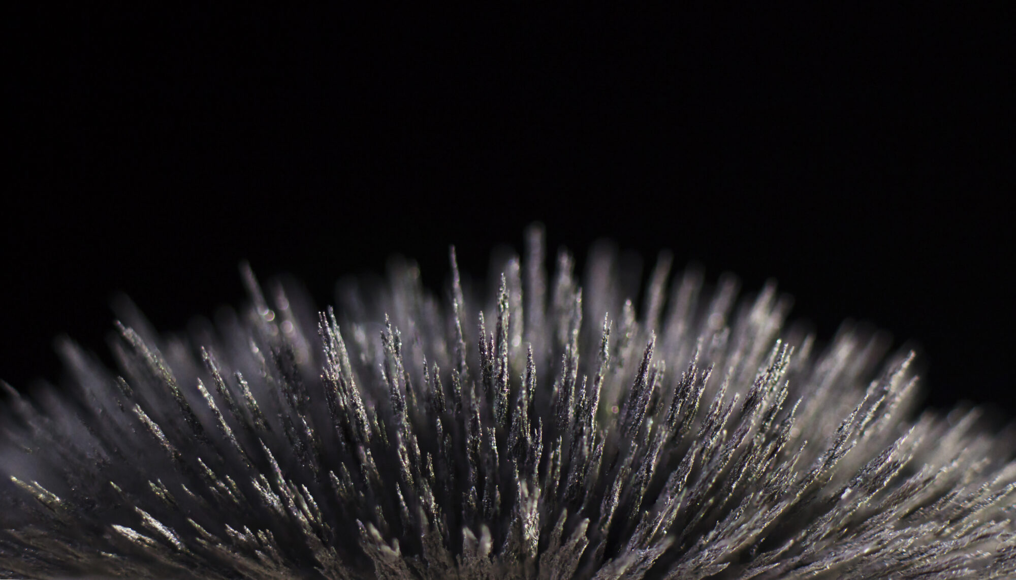 Dust particles reacting to the magnetic field of a powerful neodymium magnet on a black background. Fine magnetic dust and rare earth oxides form dynamic, sculpted patterns as they align with the magnet’s intense field.